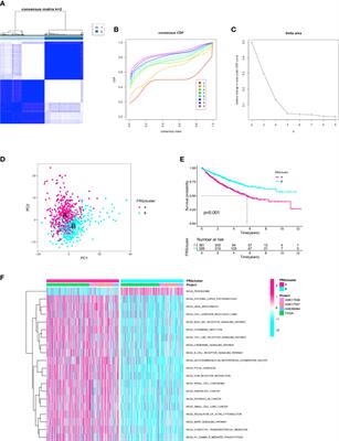 Establishment and validation of a ferroptosis-related signature predicting prognosis and immunotherapy effect in colon cancer